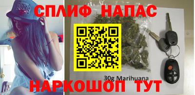 шишки Абакан