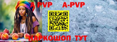 шишки Абакан